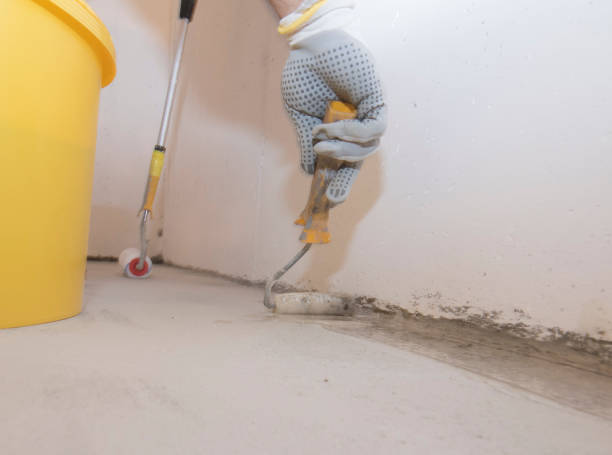 Best Pest Control for Multi-Family Homes  in Ithaca, MI